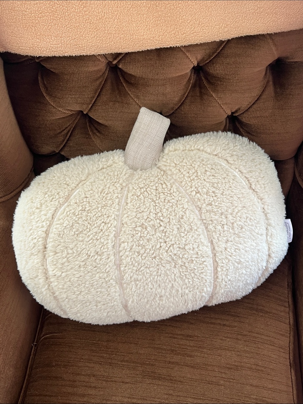 Pumpkin Cozy Cream Sherpa Accent Pillow